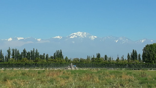 Bodega Tapiz