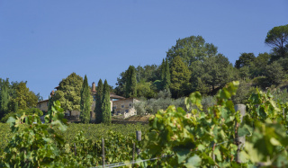Montecalvi  Winery