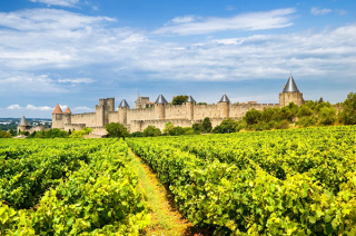 Les Vignobles Foncalieu