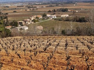 Domaine des Chanssaud