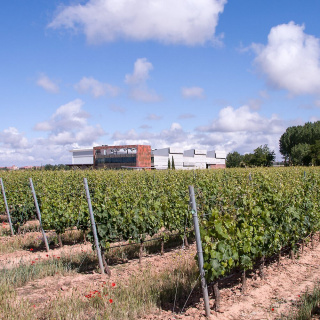 Bodegas Martin Berdugo