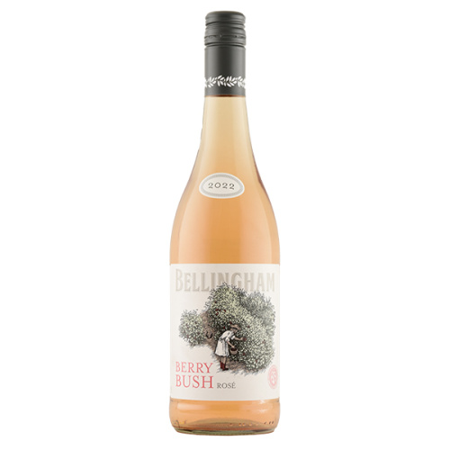 Bellingham Berry Bush Ros 212223